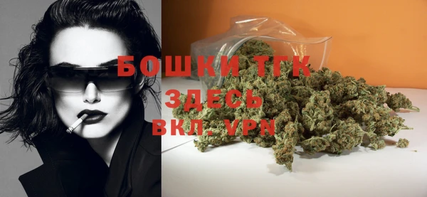 шишки Абаза