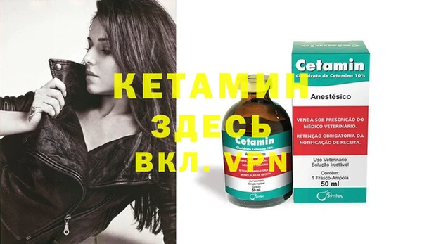шишки Абаза