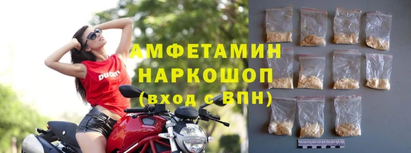 шишки Абаза
