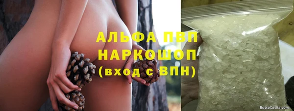 индика Абдулино