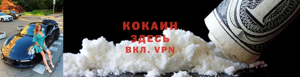 шишки Абаза