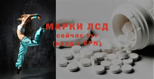 шишки Абаза