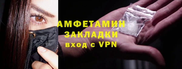 шишки Абаза