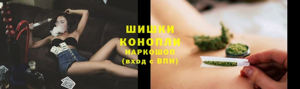 индика Абдулино