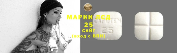 индика Абдулино