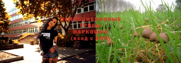 шишки Абаза