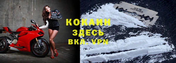 шишки Абаза