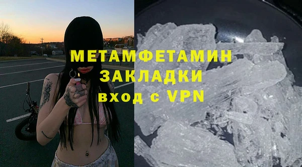 шишки Абаза