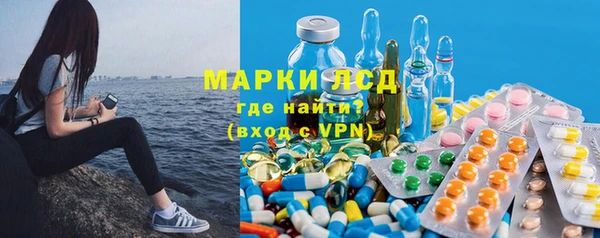 шишки Абаза