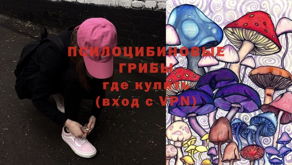 шишки Абаза