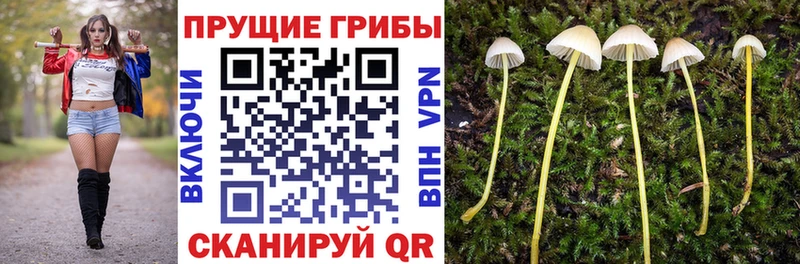 наркошоп  Партизанск  Псилоцибиновые грибы мухоморы 